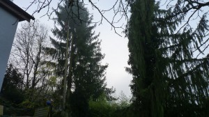 P1140006