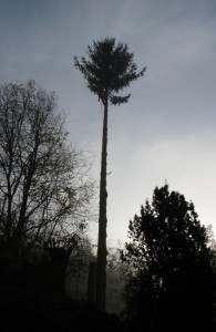 P1140016
